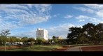 Daireaux - Plaza San Martin