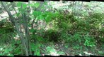 trail10_21_05_09