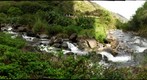 Creeks coming together in the Iao Valley, Maui, HI (l43)