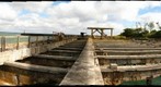 burned dock Hanamaulu Bay (l49)