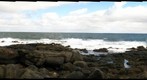 ocean (l50)