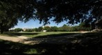 SMU Campus