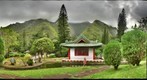 japanese garden (l47)