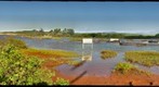 salt ponds (l61)