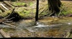 Allegheny stream #2