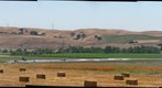 South Livermore