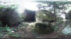 Rocks in Tijuca Floresta