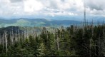 Clingman's Dome - Eastern View