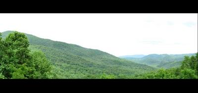 24570-400x189