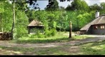 House in the forrest