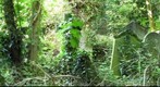 Abney Park Cemetery