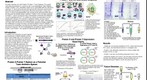 whereRU: Aresty Poster 66 - EVOLUTION OF A NOVEL GENE PAIR FROM A PROTEIC TOXIN-ANTITOXIN MODULE 