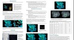whereRU: Aresty Poster 140 Structural Studies of Bacterial RNA Polymerase