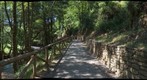 Paseo del Vino