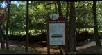 Paseo del Vino