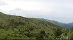 360 panorama near Genoa