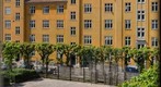 Apartment blok where i live