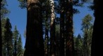 Three Sisters