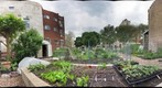 Brickyard Garden