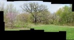 Jackson Park