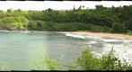 cove (l55)