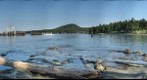 Sturdies Bay - Galiano Island