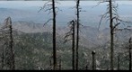 FROM THE TOP OF MOUNT LEMON