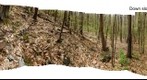 Salisbury Town Forest Escarpment Forest