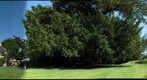 Down House - Darwin's Home