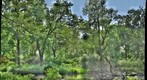 Washington Park Lagoon