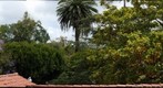 View from the balcony