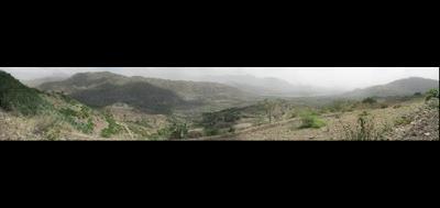 25036-400x189