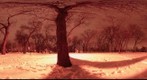 Oak Lawn Centennial Park in Winter