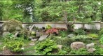 Japanese Garden