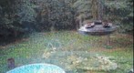 My back yard