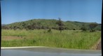 Elephants at Pilanesberg