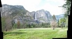 Yosemite meadow