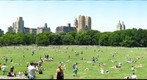 New York Central Park