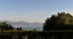 Crêt-de-Montriond (Lausanne)