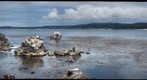 Point Lobos