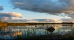 Pankajärvi, Lieksa