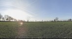 Stemwarde field in Germany near Hamburg