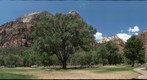 ZION NATIONAL PARK