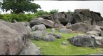 Battlefield View