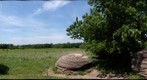 Mushroom Rocks