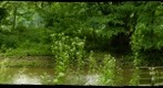 Brandywine Creek