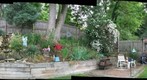 Backyard-June12