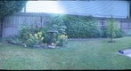 Susans-June12