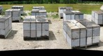 Honey Bee Hives in Blueberries