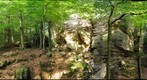 Wanterbach (Berdorf, Luxembourg)